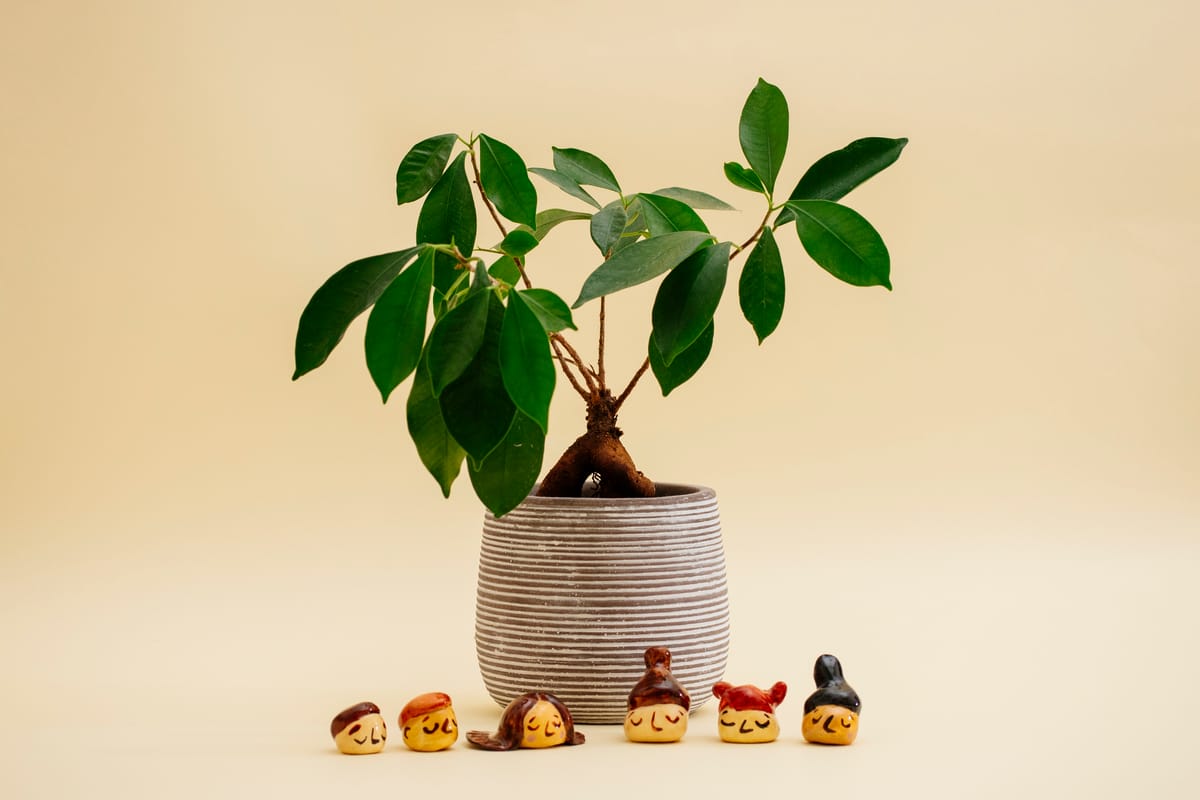 Οι Φίλοι των Φυτών